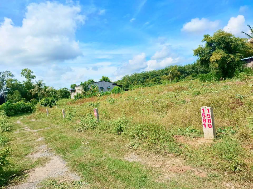 Đất nền Long Chữ Bến Cầu 125m² giá chỉ 160 triệu - Cơ hội đầu tư tuyệt vời!