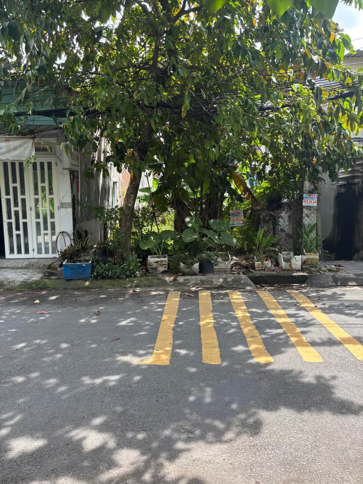 Đất mặt tiền ấp 6 xã Đông Thạnh 126.5m² giá 4.5 tỷ - Khu dân cư sầm uất