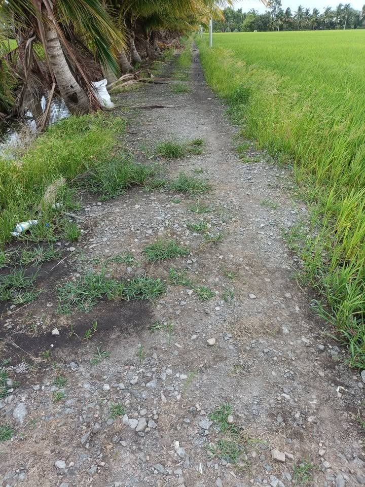 Đất vườn mặt tiền đường Đá Nhĩen, 60000m² giá 220 triệu - Cơ hội đầu tư sinh lời!