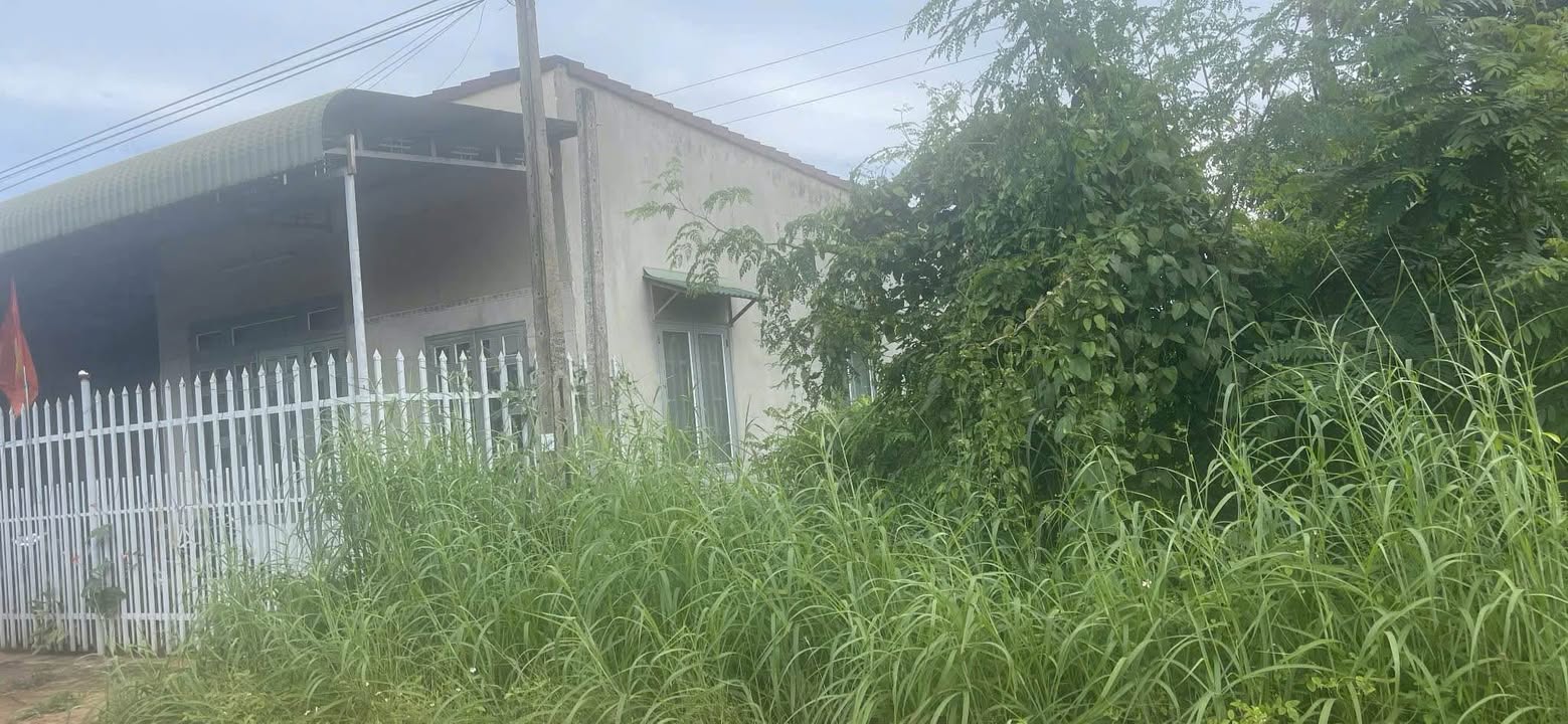 Đất mặt tiền Tỉnh lộ 8, Cư M'gar 908m² giá 4.5 tỷ - Đầu tư sinh lời ngay!