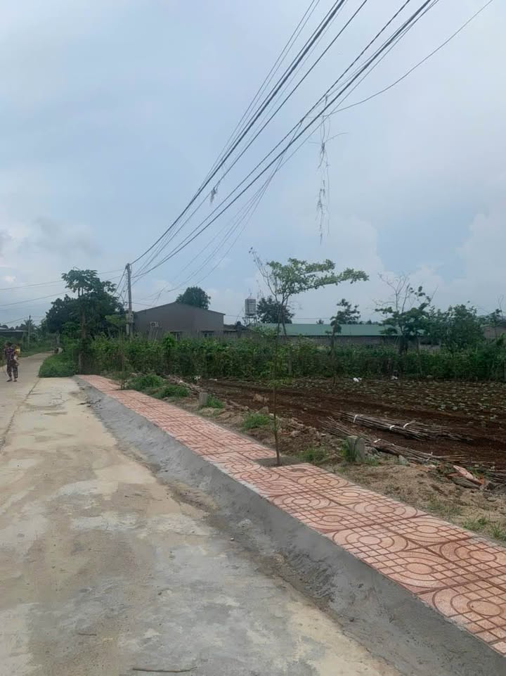 Đất liền kề Ea Kao 135m² giá 550 triệu - Pháp lý sổ hồng riêng