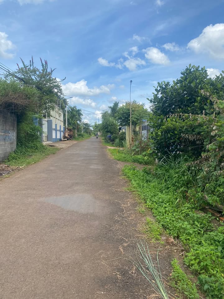 Bán đất đường B5, phường Tân An, 99m² giá 1.2 tỷ - Vị trí đắc địa gần chợ đầu mối!