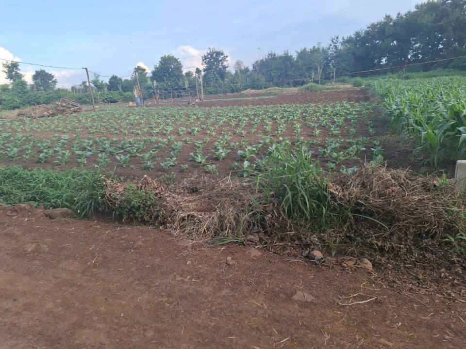 Đất thổ cư xã Ea Nuôl, Buôn Đôn 468m² giá 650 triệu - Cơ hội đầu tư tuyệt vời!