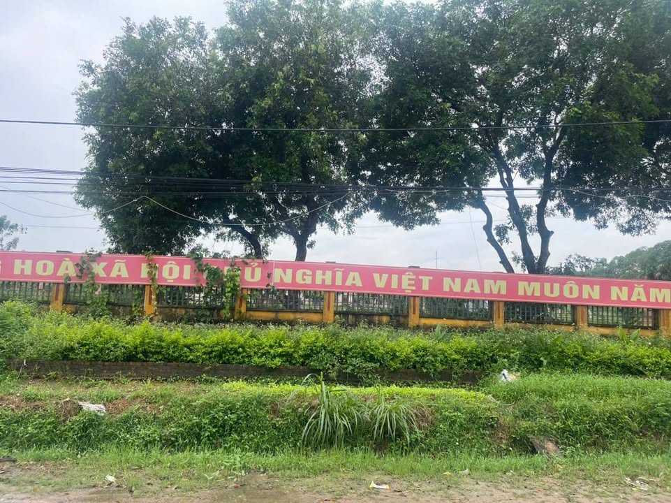 Đất kinh doanh đường 307, xã Thái Hòa, 100m² - Tiềm năng phát triển mạnh mẽ!