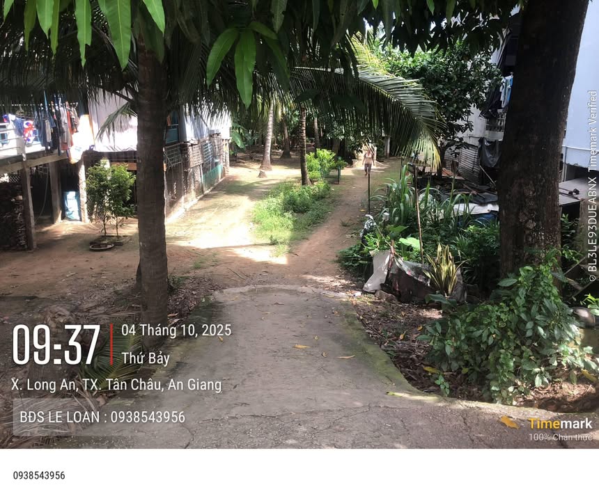 Đất nền mặt tiền Đường Liên Xã Tân Châu 130m² giá 590 triệu - Sổ hồng chính chủ sang tên ngay!