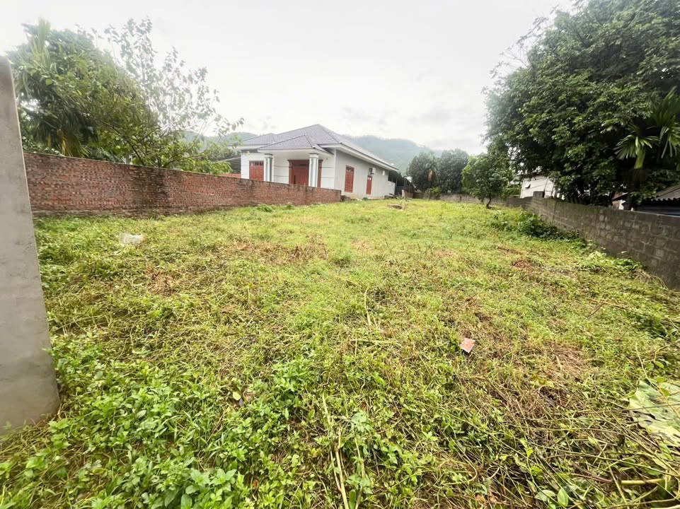 Đất thổ cư 499m² Khu 6, Tu Vũ, Thanh Thủy - Vị trí đẹp, giá chỉ 1.9 tỷ!