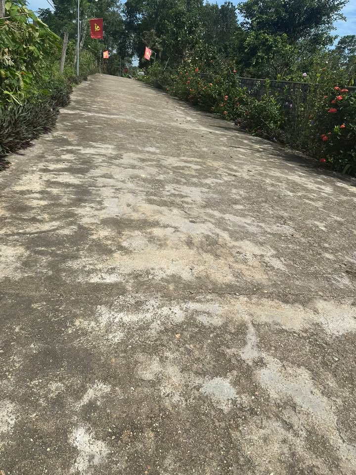 Đất lô góc 2 mặt tiền Nghĩa Mai 400m² giá 1.05 tỷ - Cơ hội đầu tư hấp dẫn!