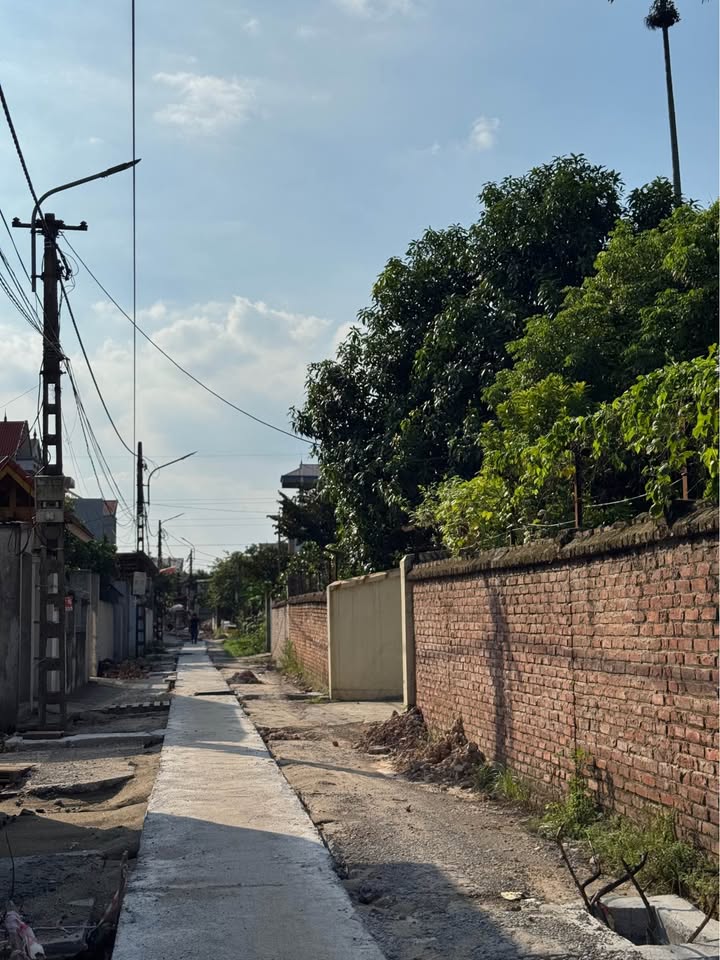 Đất nền Thôn Đình Trung, xã Xuân Nộn, 80m² giá 4.8 tỷ - Đường ô tô tránh nhau