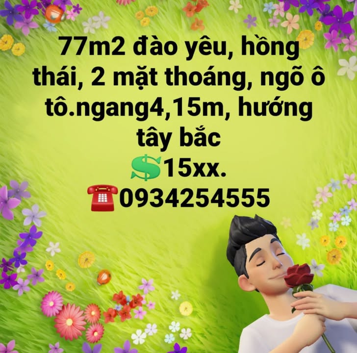 Đất nền Hồng Thái, An Dương 77m² giá 1.5 tỷ - Mặt tiền thoáng đãng, ô tô vào tận nơi!