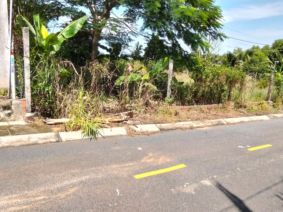 Đất nền 100m² mặt tiền Đường Số 7, Tam An - Long Điền, giá chỉ 2 tỷ - Cơ hội đầu tư tuyệt vời!