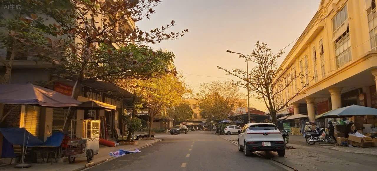 Đất mặt phố Ngoại Thương, Từ Sơn 406m² giá 60.9 tỷ - Cơ hội đầu tư sinh lời!