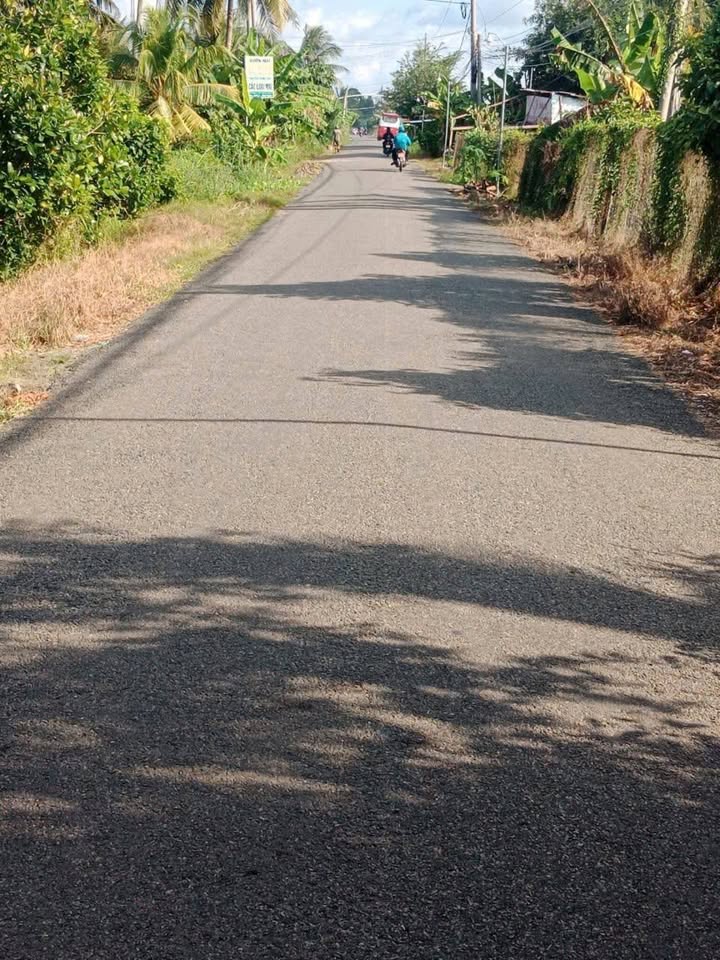 Đất Farm Hưng Khánh Trung B Chợ Lách 8000m² giá 7.2 tỷ - Đầu tư sinh lời ngay!