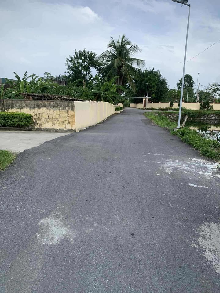 Đất nền Định Liên Yên Định 120m² giá chỉ 6xx triệu - Cơ hội đầu tư hiếm có!