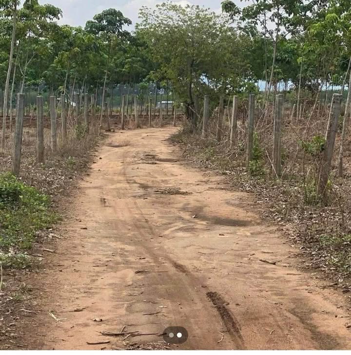 Đất nền tổ 1, phường Ngô Mây, Kon Tum 250m² giá 100 triệu - Đầu tư sinh lời ngay!