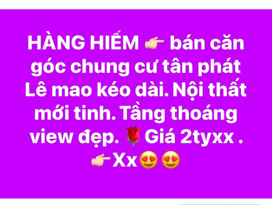 Căn hộ chung cư Tân Phát Vinh 62m² giá 2 tỷ - Căn góc view đẹp, nội thất mới!