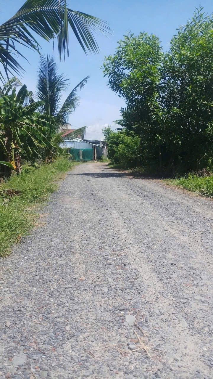 Đất nền Đức Hòa Long An 175m² giá 620 triệu - Đầu tư sinh lời ngay!