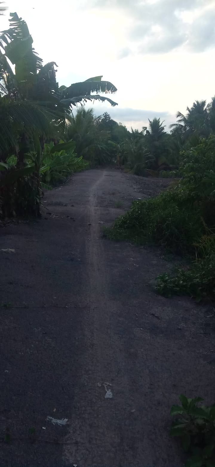 Đất vườn 3700m² mặt tiền đường lớn tại Thạnh Lợi, Tây Ninh - Giá 2.6 tỷ thương lượng!