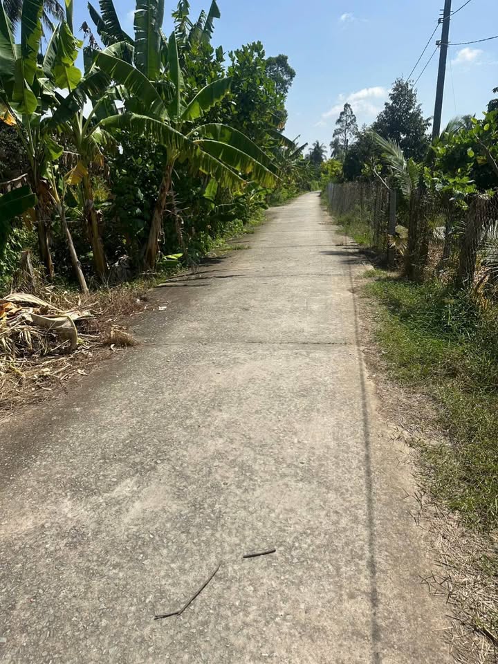 Đất thổ cư Long Thới, Chợ Lách 300m² giá 520 triệu - Cơ hội đầu tư tốt!