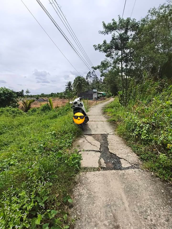 Đất CLN 586m² xã Ngãi Tứ - Vĩnh Long giá chỉ 450 triệu - Mặt tiền view sông thoáng đãng!