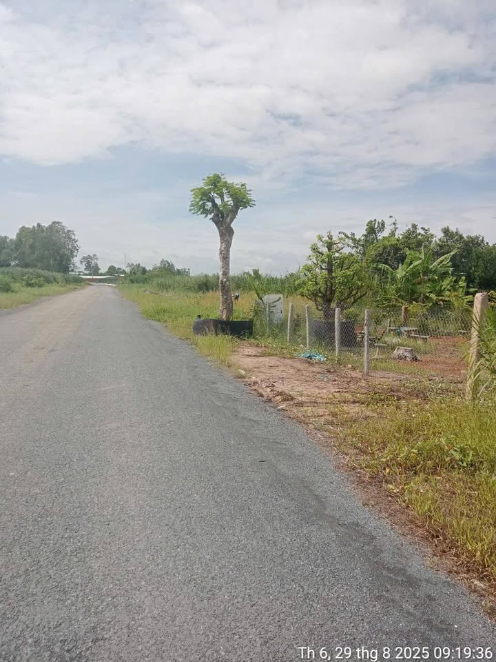 Đất nền Hòa Long, Đồng Tháp 221m² giá 800 triệu - Sổ đỏ chính chủ, thương lượng ngay!