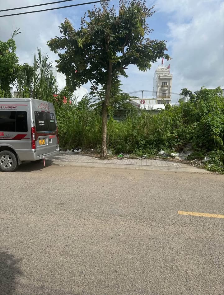 Đất nền Lý Thái Tổ nối dài, Long Xuyên 100m² - Giá đầu tư hấp dẫn!