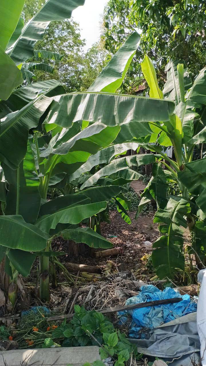 Đất thổ cư mặt tiền đường 91C Đa Phước 399m² giá chỉ 1.111 tỷ - Cơ hội đầu tư tuyệt vời!