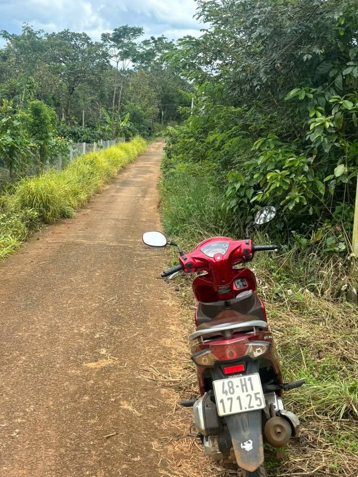 Đất nền Đắk Wer 1000m² giá 400 triệu - Cơ hội đầu tư hấp dẫn!