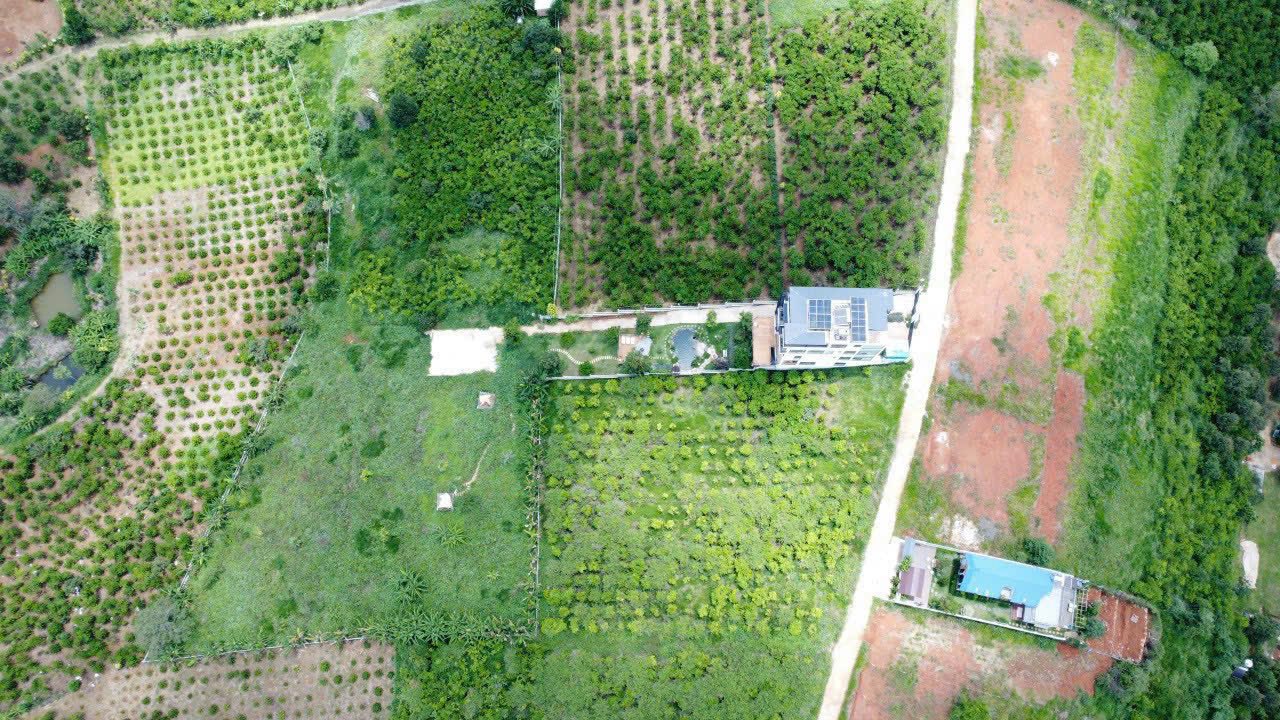 Đất nền Bảo Lộc 220m² giá 1.78 tỷ - Sổ hồng chính chủ, thuận tiện đầu tư!