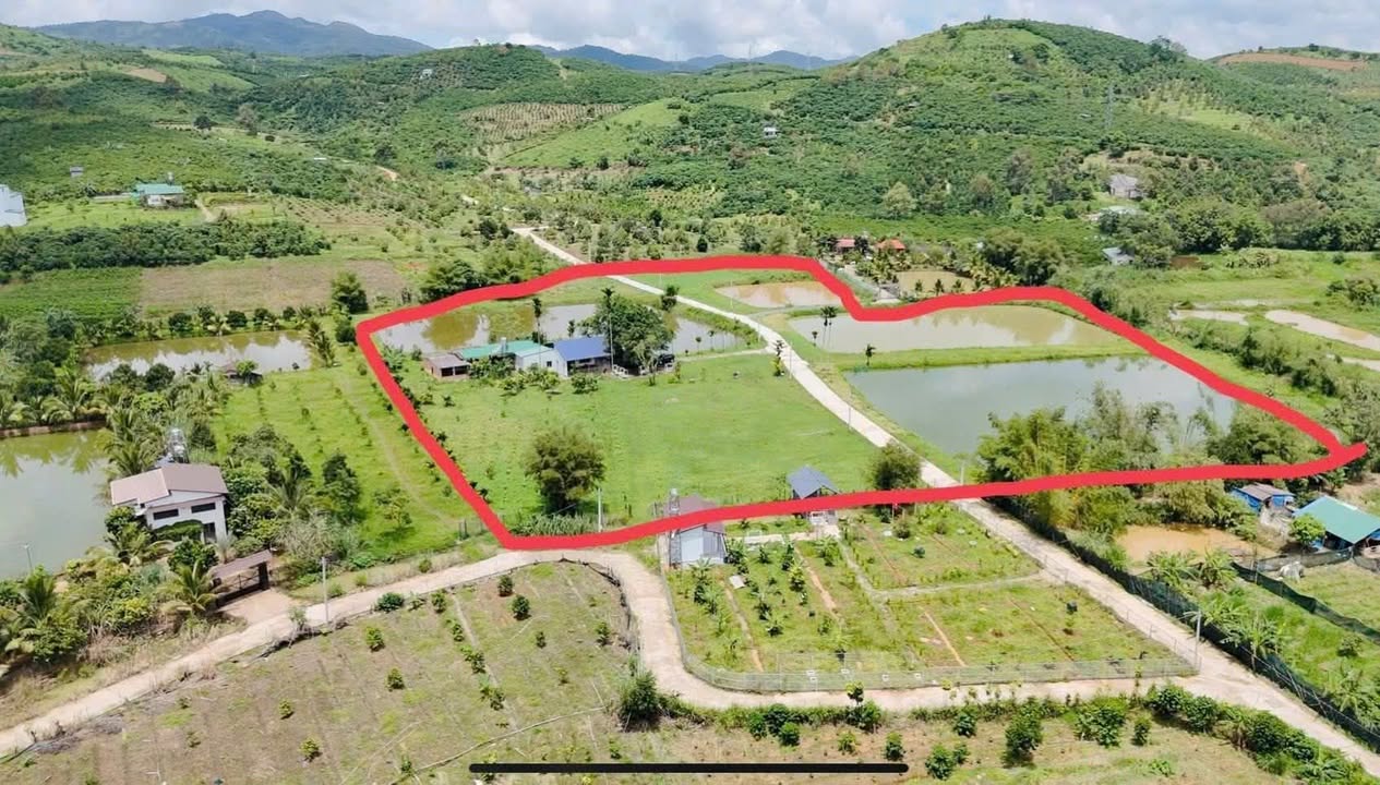 Đất nền 20.000m² Đinh Công Tráng, Bảo Lộc giá 6.12 tỷ - Cơ hội đầu tư tuyệt vời!