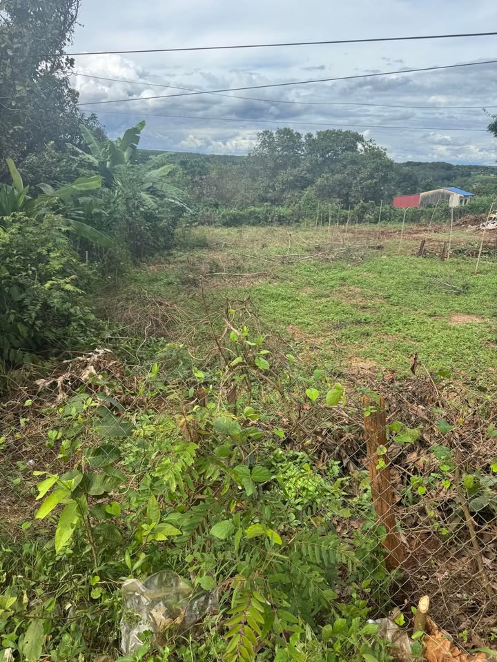 Đất mặt tiền đường chính Đức Cơ, Gia Lai 340m² giá 1 tỷ - Cơ hội đầu tư tuyệt vời!