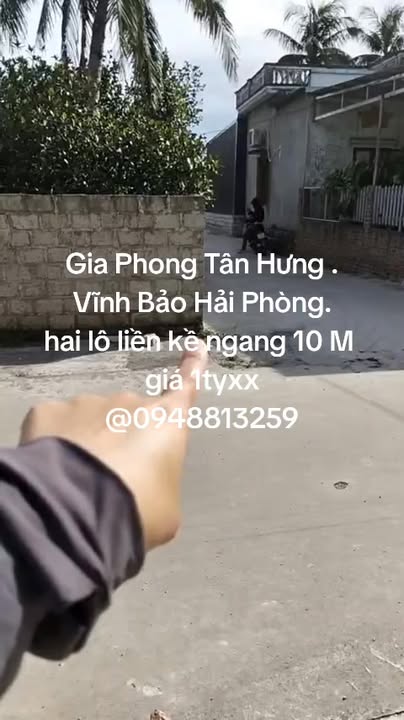 Đất nền Tân Hưng Vĩnh Bảo 50m² giá 1 tỷ - Đầu tư sinh lời ngay!