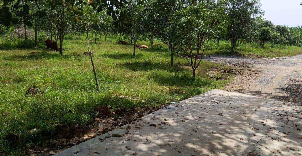 Đất nền 3240m² tại xã Định Quán, Đồng Nai - Sổ đỏ chính chủ, giá chỉ 2.07 tỷ!