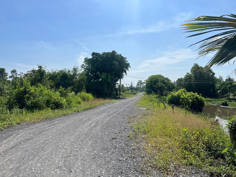 Đất nền sổ hồng riêng tại Củ Chi 8500m² giá 63.75 tỷ - Tiềm năng đầu tư cao!