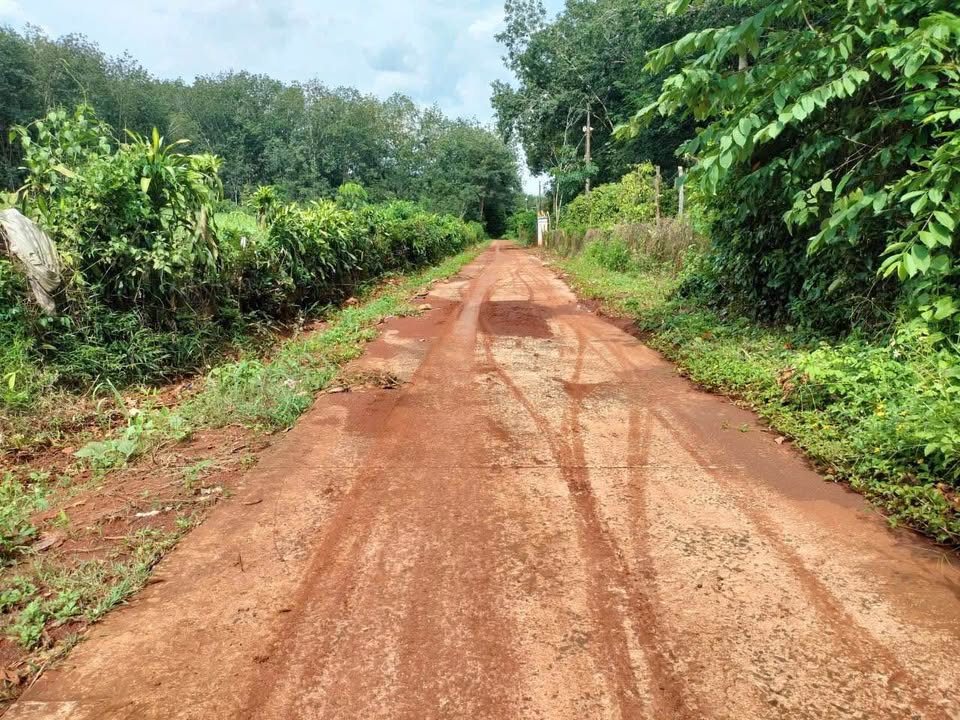 Đất nền Farm 3400m² tại An Khương, Hớn Quản - Giá chỉ 630 triệu, sổ đỏ chính chủ!