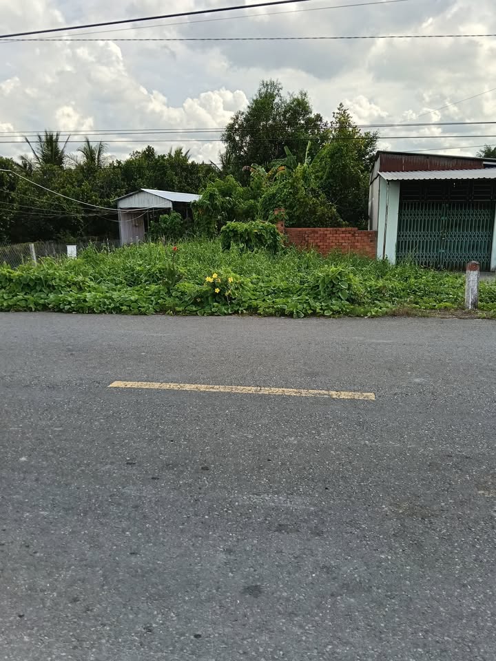 Đất thổ cư 505m² tại phường Thành Trung, Bình Tân - Giá chỉ 1 tỷ, thương lượng ngay!