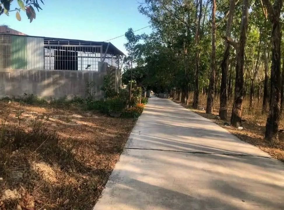 Đất thổ cư thôn Konhring, xã Đăk Blà, 300m² giá 300 triệu - Cơ hội đầu tư tốt!