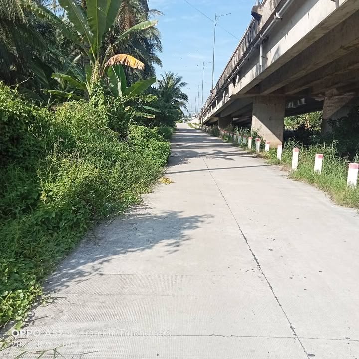 Đất nền Mỏ Cày Bắc 1000m² giá 3 tỷ - Vị trí đẹp, pháp lý rõ ràng!