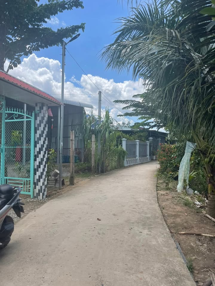 Đất nông nghiệp 6002m² tại đường Rạch Bà Bóng, Long Xuyên chỉ 2.4 tỷ - Cơ hội đầu tư hấp dẫn!