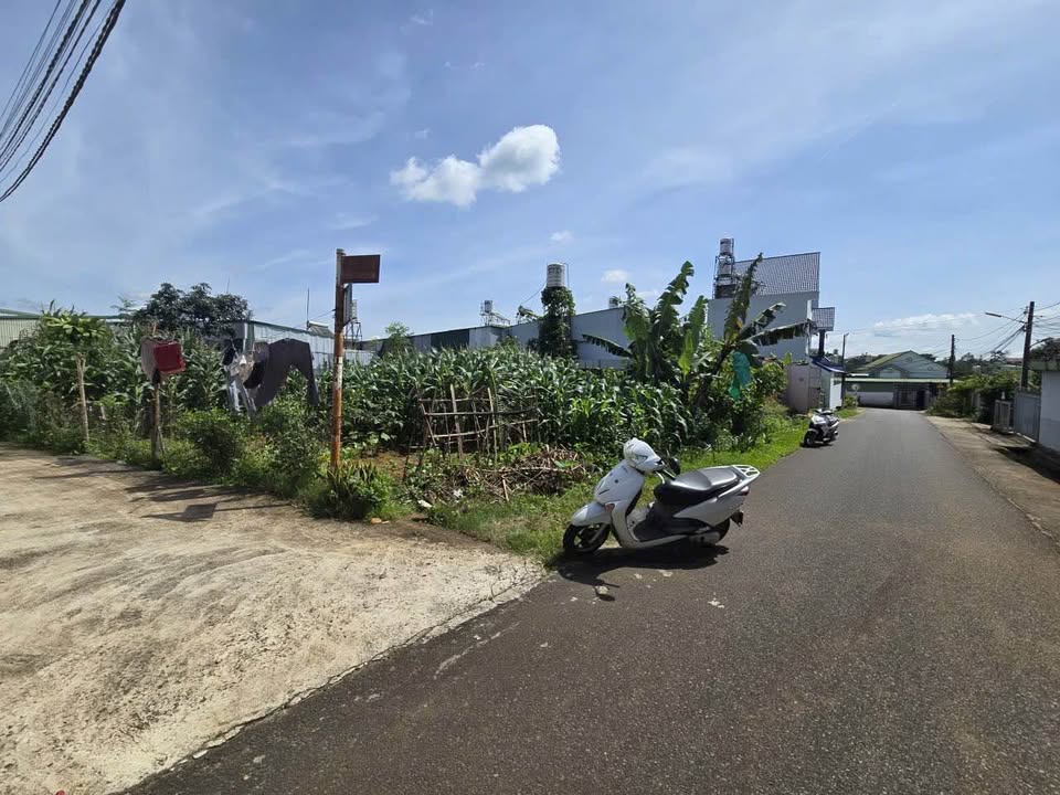 Đất nền hẻm 23 Trần Quý Cáp, Bảo Lộc 317m² giá 4.2 tỷ - Đầu tư sinh lời hấp dẫn!