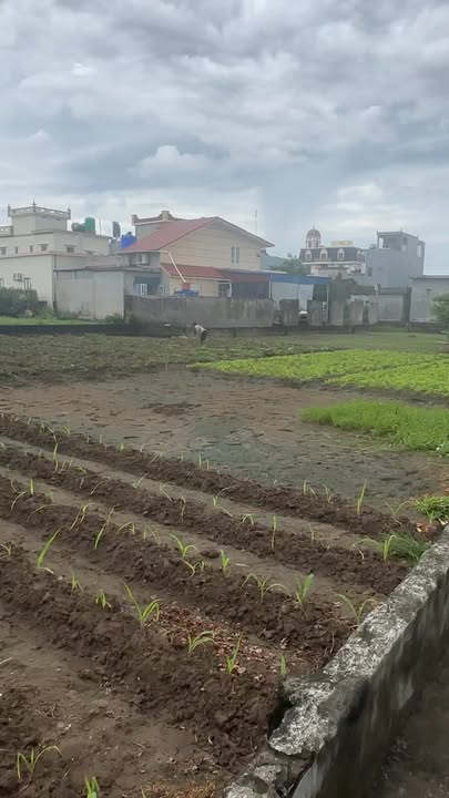 Đất nền Giao Yến 140m² giá 1 tỷ - Đầu tư sinh lời ngay!