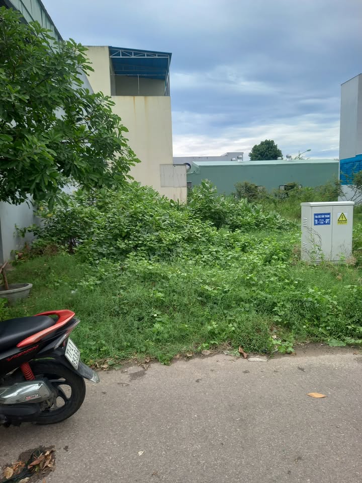 Đất nền Đập Đá An Nhơn 120m² giá 1 tỷ - Vị trí đẹp thuận tiện kinh doanh!