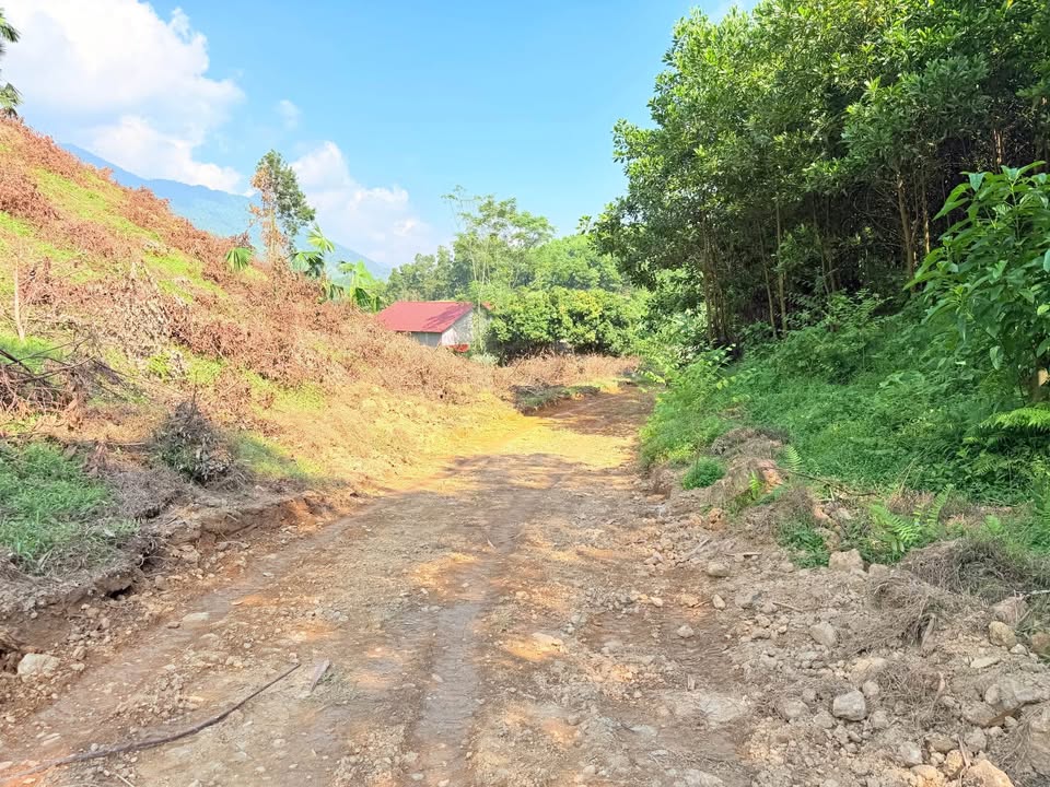 Đất nền Minh Hòa, Yên Lập 2000m² giá tốt - Cơ hội đầu tư hấp dẫn!