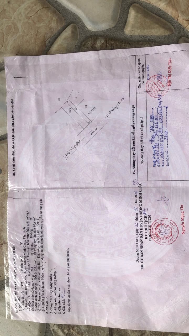 Đất nền 240m² mặt tiền đường 784, xã Truông Mít, giá chỉ 1 tỷ - Cơ hội đầu tư sinh lời!