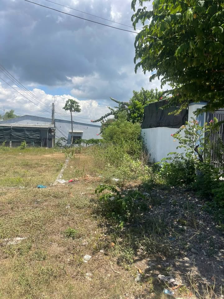 Đất nền mặt tiền sông Tắc, Vĩnh Trung 118m² giá chỉ 3.54 tỷ - Cơ hội đầu tư tuyệt vời!