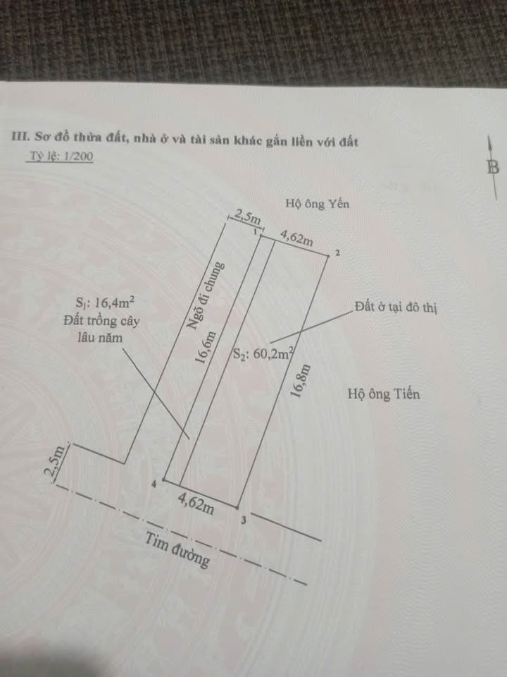 Đất nền Tràng Cát, Hải An 76.6m² giá 2x triệu - Cơ hội đầu tư vàng!