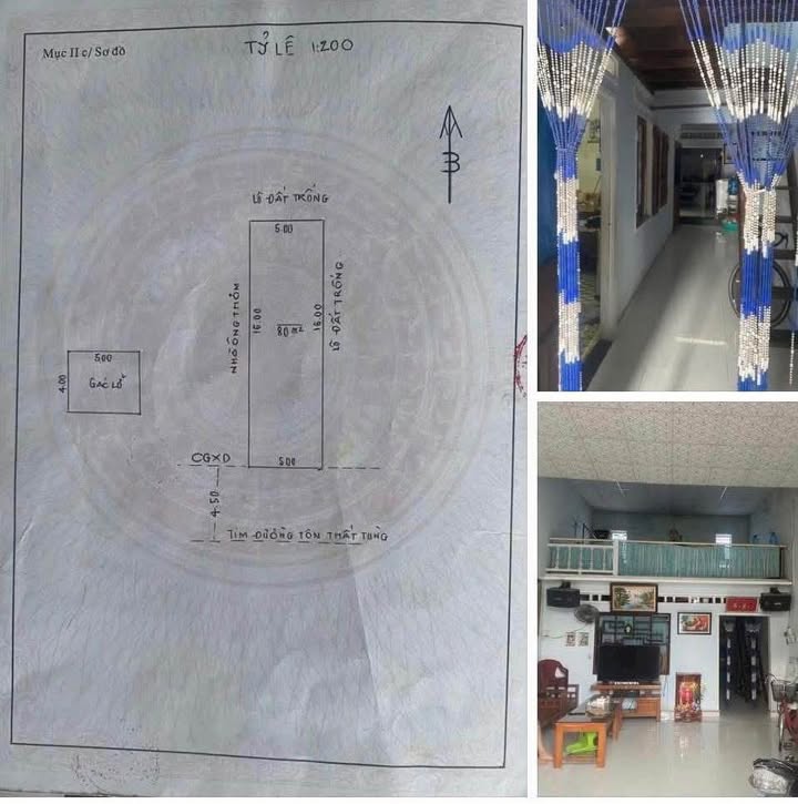 Nhà mặt tiền đường Tôn Thất Tùng, Quy Nhơn 80m² giá 4.49 tỷ - Kinh doanh sầm uất!