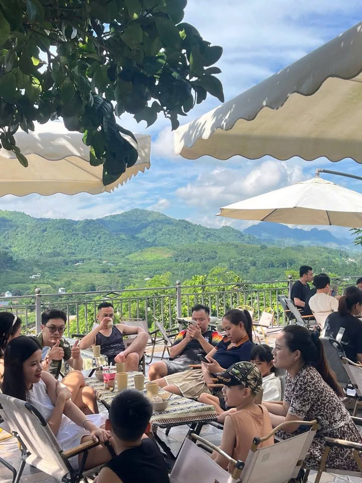 Farm Ora Hill - Farms Tay & Glamping 50.000m² giá 30 tỷ - Cơ hội đầu tư hấp dẫn!