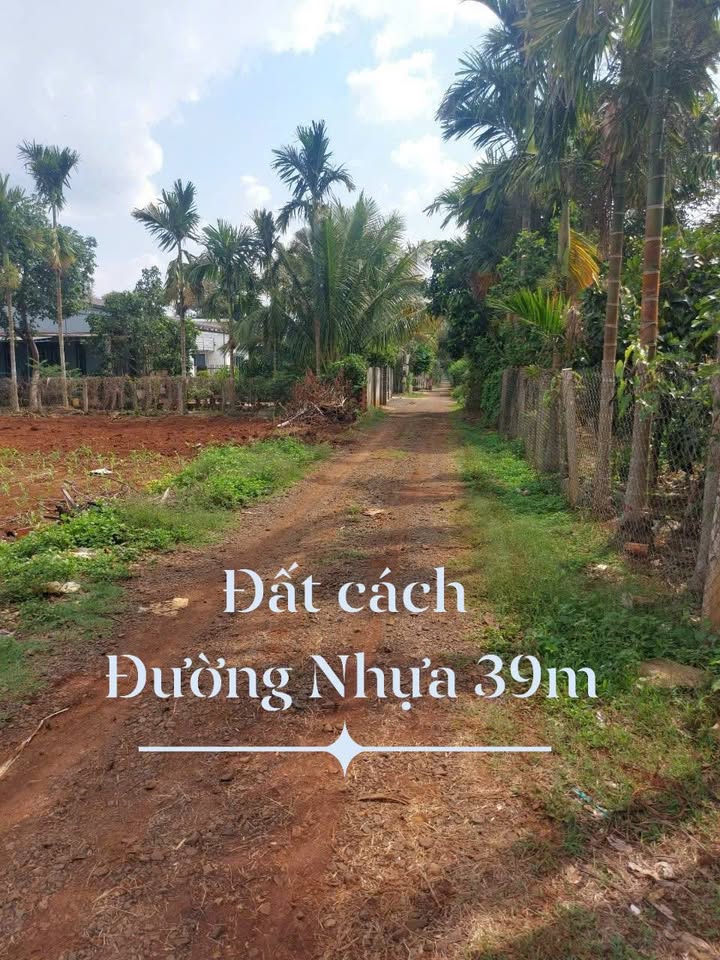 Đất nền xã Ea Ktur, Đắk Lắk 322m² giá 140 triệu/mét ngang - Tiềm năng phát triển mạnh!