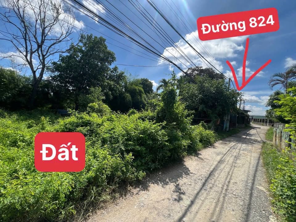 Đất thổ cư xã Mỹ Hạnh Nam, Đức Hòa 128m² giá 2.2 tỷ - Sổ đỏ chính chủ