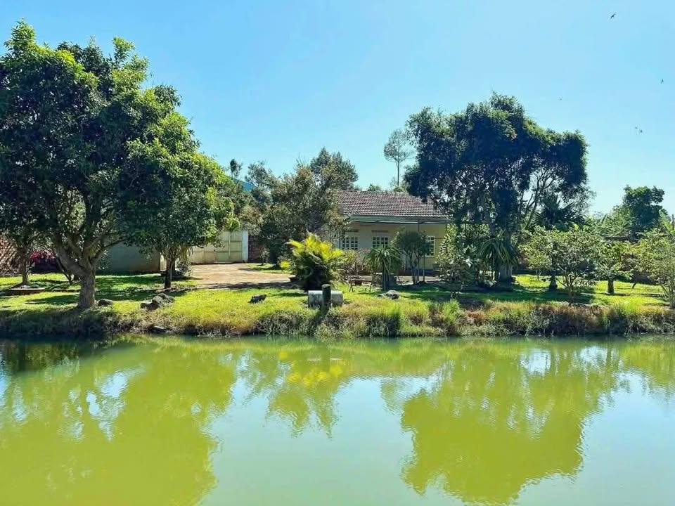 Đất vườn 1000m² tại Chơn Thành giá chỉ 320 triệu - Cơ hội đầu tư tuyệt vời!